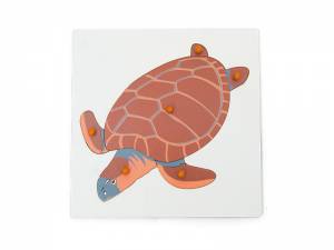 Puzzle zoologiczne. Żółw