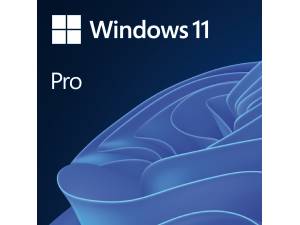 System operacyjny Microsoft Windows 11 Pro PL 64 bit OEM