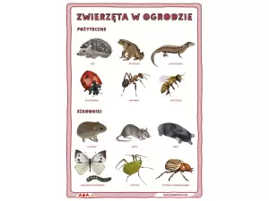 Zwierzęta w ogrodzie. Plakat