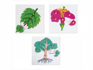 Pomoce Montessori. Puzzle botaniczne