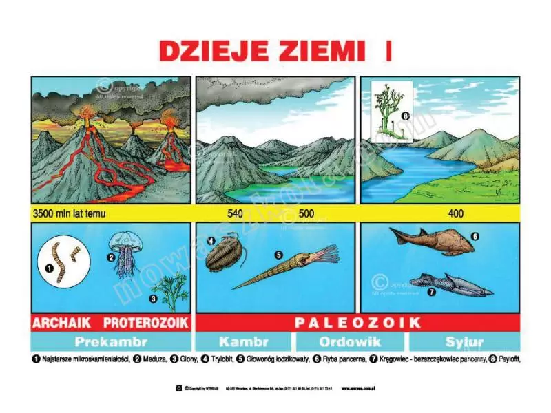 Geografia. Zestaw tablic  Nowa Szkoła